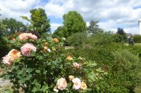 Tag 2 29.05.2022 Garten in Viels-Maison