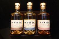 Tag 5 01.06.2022 Château de Breuil