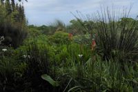 Tag 8 04.06.2022 Vauville