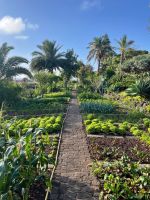 Gemüsegarten des Hotels