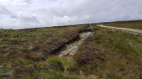 Ceide Fields