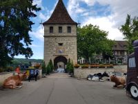 Rheinfall Schaffhausen (1)-Eingang durch Schloss Laufen