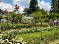 Insel Mainau (15)