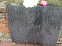 Gauja Nationalpark: Rose von Turaida