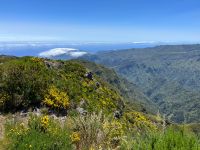 Wanderung zum Pico do Ruivo