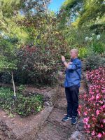 Unser Reiseleiter Sergio