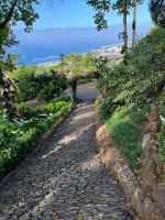 Zu Besuch im Botanischen Garten von Funchal