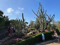 Sukkulenten-Garten