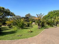 Zu Besuch im Botanischen Garten von Funchal