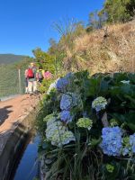 Levada-Wanderung von Marocos