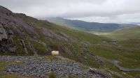 Healy Pass