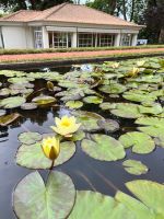Palheiro Gardens