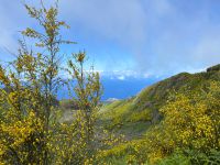 Wanderung entlang der Levada do Paul