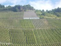 DSCN6053.JPG  Mosel