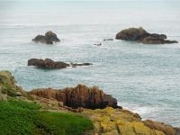 Jersey - nahe Leuchtturm La Corbière