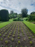 Cawdor Castle Gardens