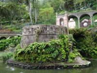 im Tropischen Garten