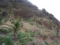 Faja dos Padres