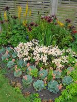 Jersey - Privatgarten 