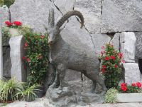 102 Zermatt