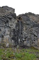 Tag 5 - Island -  Asbyrgi-Schlucht (4)