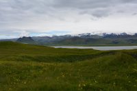 Tag 9 - Island - Dyrholaey  (3)