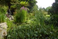 Tag 5 22.06.2022 Insel Jersey, St. Helier, Howard Davis Park