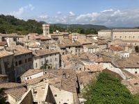 Blick auf Viviers - eine Filmkulisse für da Mittelalter!