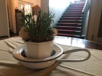 Schweiz - Interlaken - Hotel 