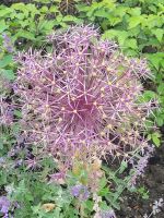 Floriade 2022 in Almere