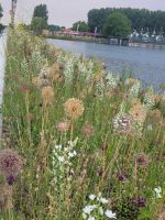 Floriade 2022 in Almere