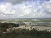 Naturparadies Camargue 