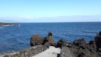 Cachorro auf Pico