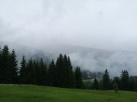 die Nebelwolken ziehen auf