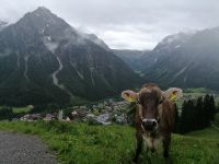 wir steigen ab