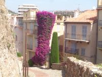 Cannes