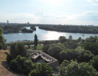 Mündung Save in Donau.JPG