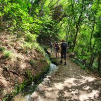 Südtirol, Vinschgau, Tscharser Waalweg