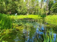 Südtirol, Pustertal, Biotop bei Bruneck
