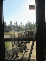 ...ups, wer will da ins Hotel ?