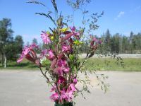 ...der schönste Blumenstrauß zum Geburtstag