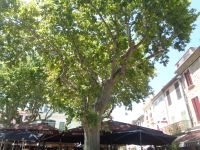 Aigues Mortes