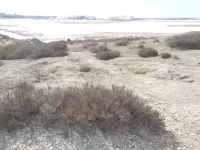 Salin de Giraud