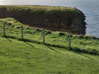Möwenfelsen Duncansby Head