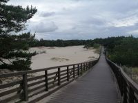 Aussichtsplattform in der Dünenlandschaft am Hotel Havet