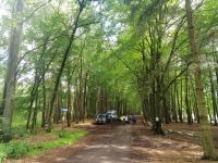 Ende der Radtour am Rzesznikowo See