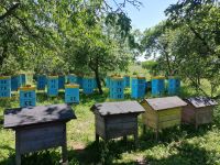 Imkerei in Toporzik
