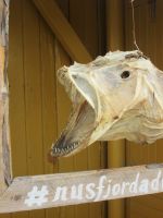 Nusfjord und Dorschkopf