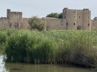 Frankreich - Rundreise Okzitanien: Aigues Mortes - Stadtmauer