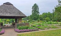 Besuch des Botanischen Gartens in Dresden 
